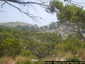 Majorque Vers Formentor 014